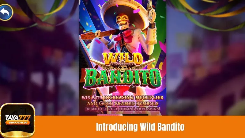 Introducing Wild Bandito