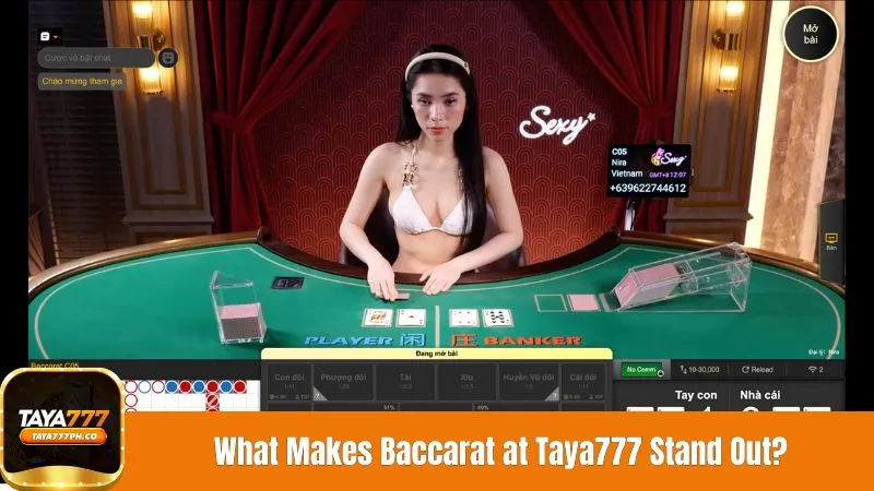 What Makes Baccarat at Taya777 Stand Out?