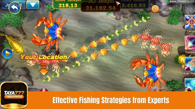 Effective Fishing Strategies from Experts