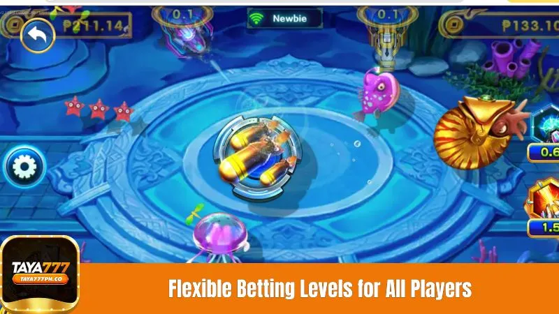 Flexible Betting Levels for All Players