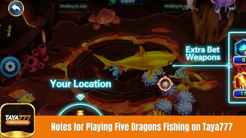 Important Notes for Playing Five Dragons Fishing on Taya777