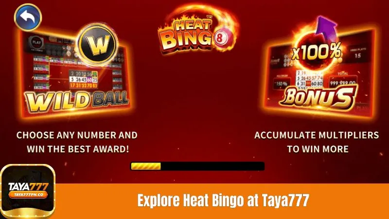 Explore Heat Bingo at Taya777