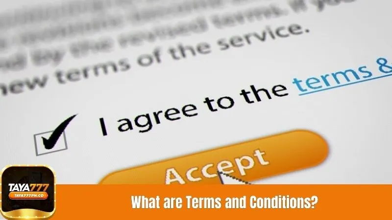 What are Terms and Conditions?