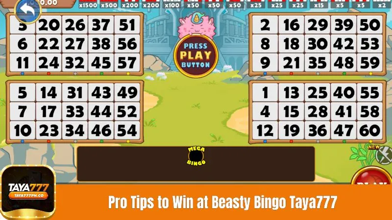 Pro Tips to Win at Beasty Bingo Taya777