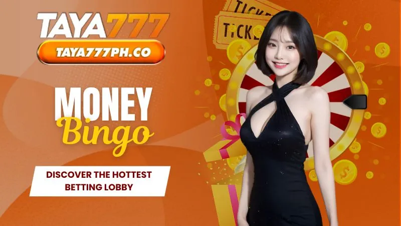 Money Bingo - Chase Massive Rewards with Taya777